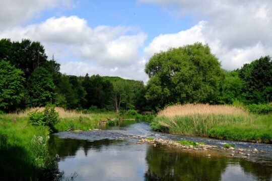 Freiberger Mulde in Sachsen