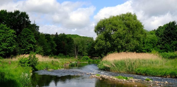 Freiberger Mulde in Sachsen