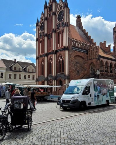 Tangermünde Rathaus