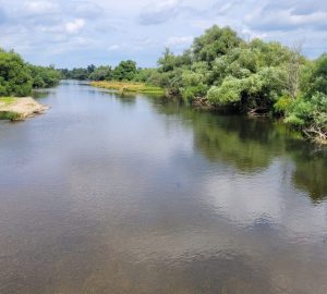 Mulde Dessau