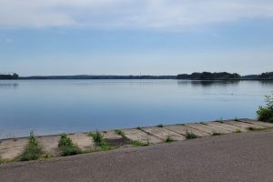 Peitzer Teiche