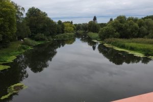 Spree