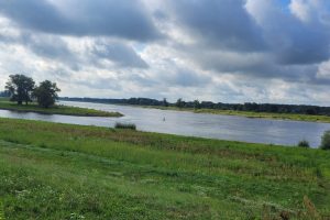 Elbe