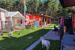 Pension "Britta"
