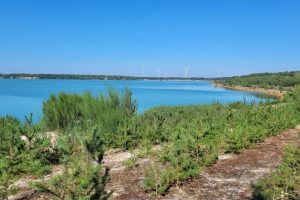 Partwitzer See