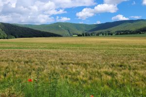 Blick ins Weserbergland