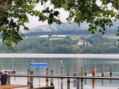 Blick von den Terrasse in Steckborn