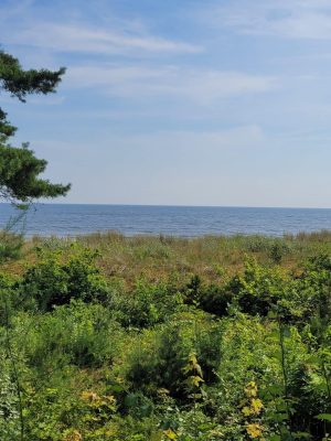 Blick auf die Ostsee