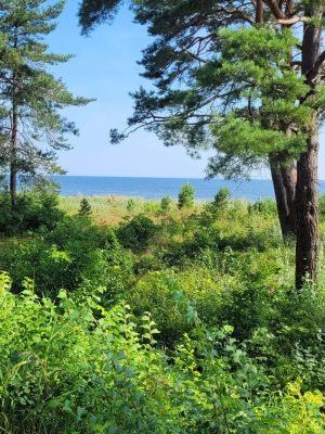 Ostseeblick