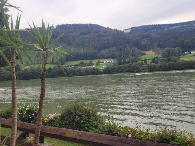 Blick auf die Donau aus dem Biergarten Kohlbachmühle
