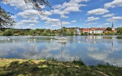 Auf dem Mainradweg mit Handicap 2025 3 Schöner Blick